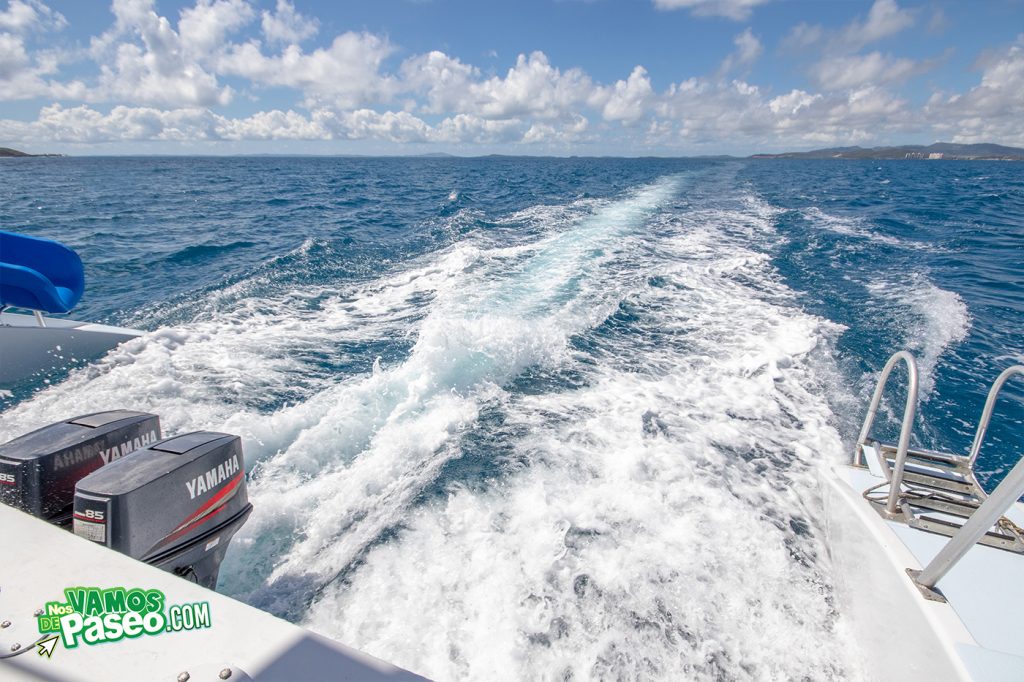 east wind catamaran puerto rico